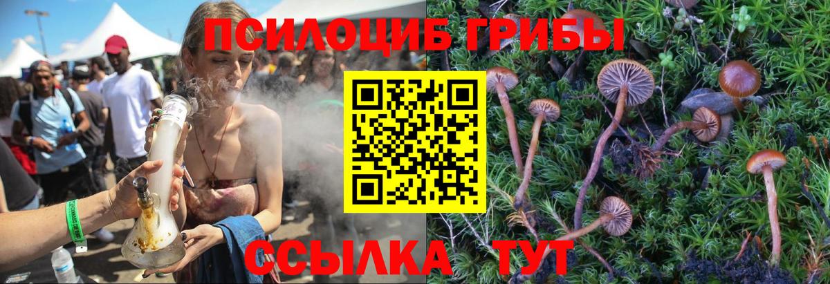 Галлюциногенные грибы мухоморы  Вход с VPN  Псилоцибиновые грибы Psilocybine cubensis  Кимры 